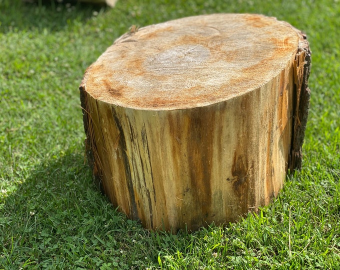 Basswood Hammerschlagen Log, One Count, Approximately 20 Inches Long by