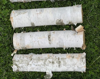 Four White Birch Poles 8 Feet Long