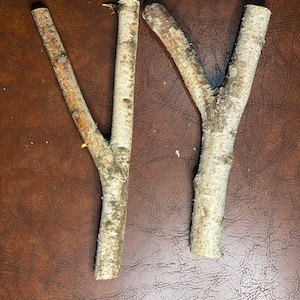 White Birch Y Shaped Logs, 2 Count, About 12 Inches Long