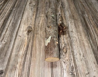 Hickory Burl Log, 14 Inches Long by 4.5 Inches Wide and 2 Inches Tall