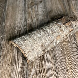 May include: A piece of natural bark with a rough, textured surface. The bark is light brown with a gray undertone and has a slightly curved shape.