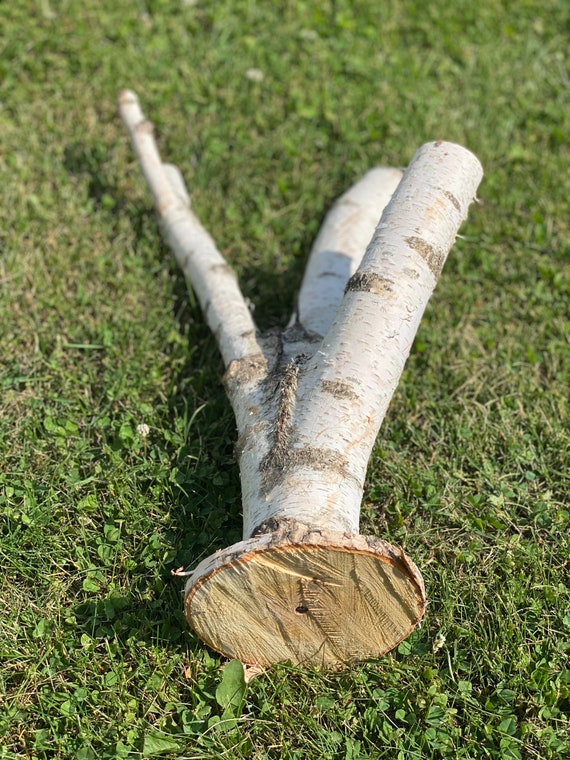 Single White Birch Jewelry Stand Birch Log Jewelry Holder