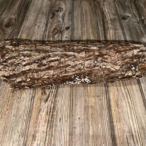 May include: A close-up of a rough, brown log with white patches of lichen. The log is lying on a wooden surface.