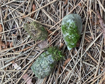 Three Live Mini Moss Covered Stones, About 1-2 Inches in Size