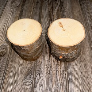 Aspen Logs, 4 Inches Long, 4 Inches Diameter, 2 Count - Etsy