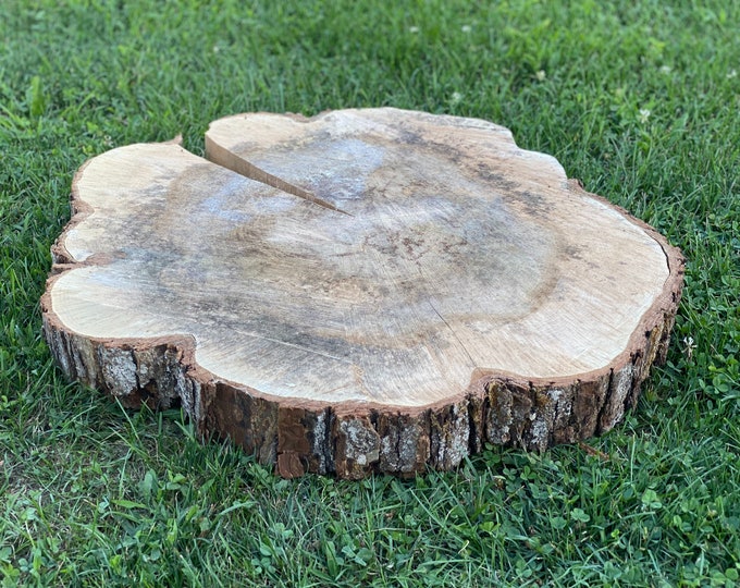 Giant Maple Slice, 1 Count, Approximately 28 Inches Long by 25 Inches ...