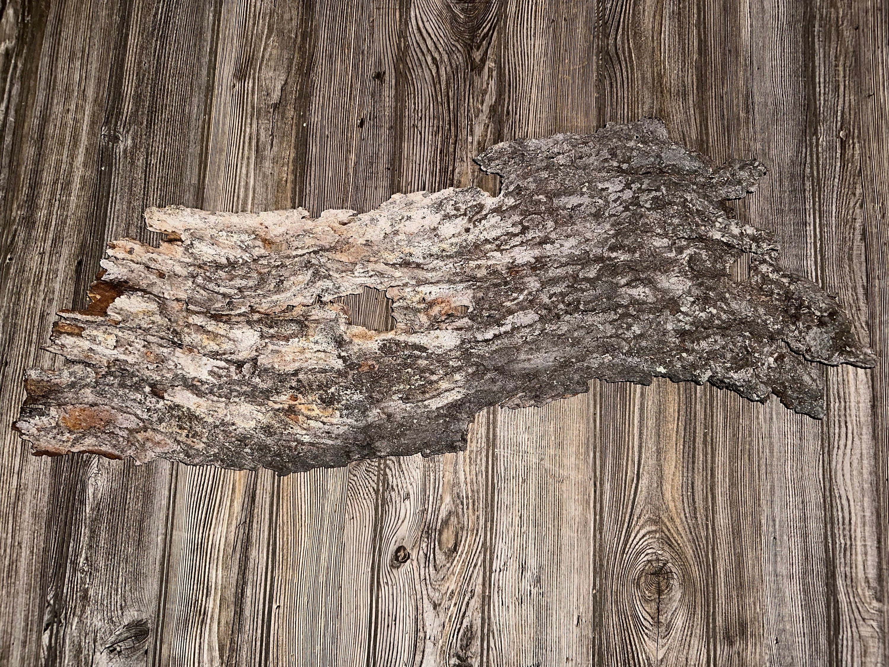 Tree Bark, Real Tree Bark, Gray-brown Color, Approximately 30 Inches ...