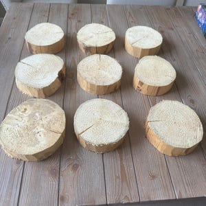 May include: Nine unfinished wooden coasters, each cut from a tree trunk, arranged on a wooden table. The coasters have a natural wood grain pattern and are circular in shape. The wood is light brown with visible growth rings.