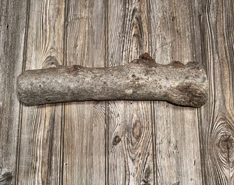 Aspen Burl Log, Approximately 14.5 Inches Long by 3 Inches Diameter