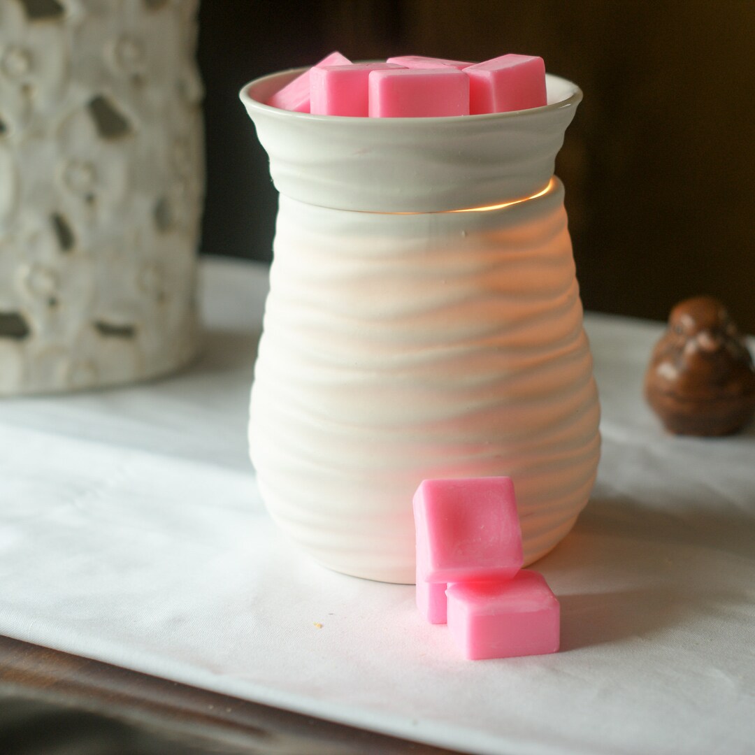 Fruit Loops Wax Melt Pack // Sweet Food Scented Wax Melts Etsy