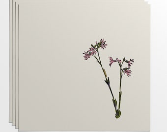 Stunning hand-drawn ragged robin notecards and envelopes (set of 4). Including a tiny hidden caterpillar.