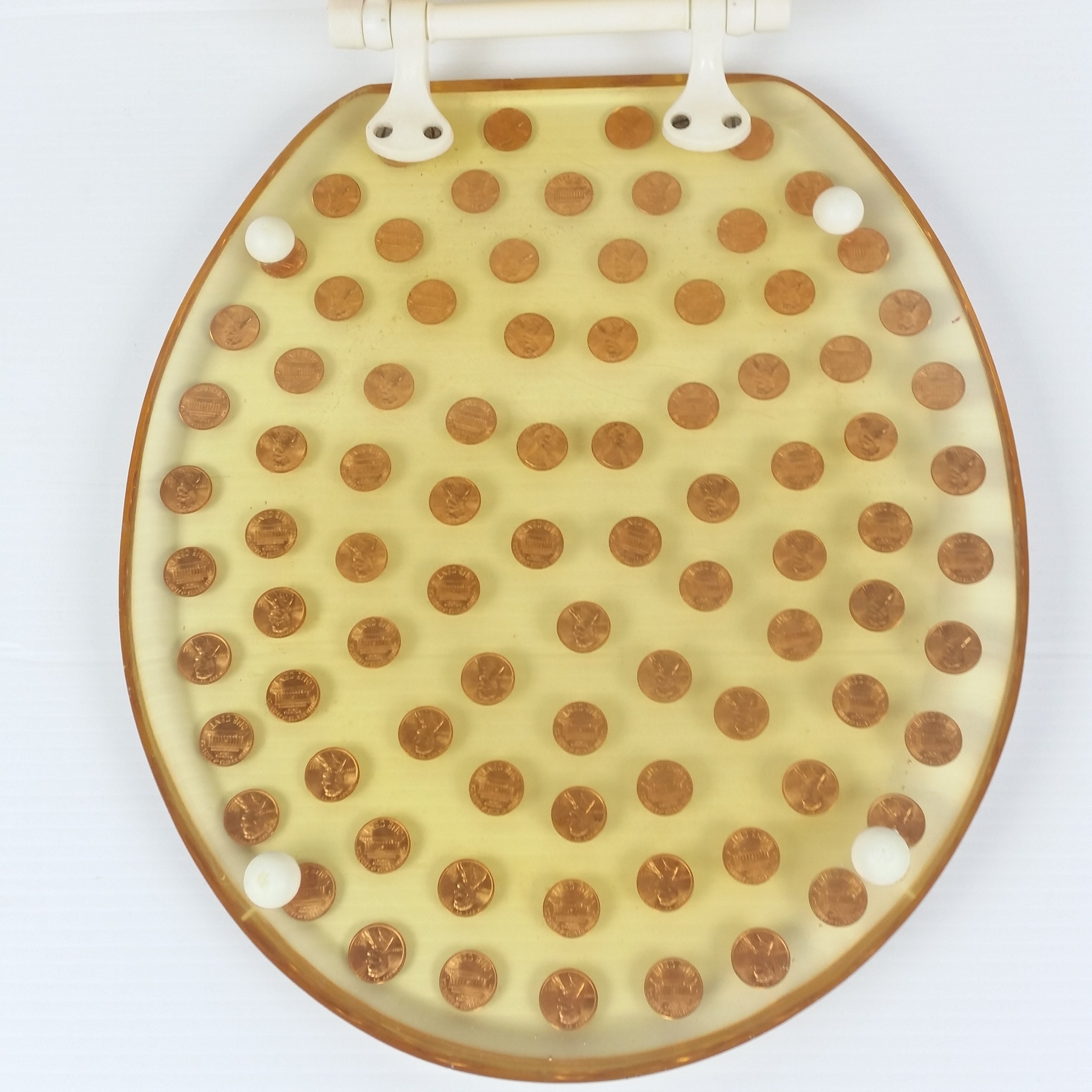 1977 Lucite Coins Money Toilet Seat and Lid Coins Pennies Etsy