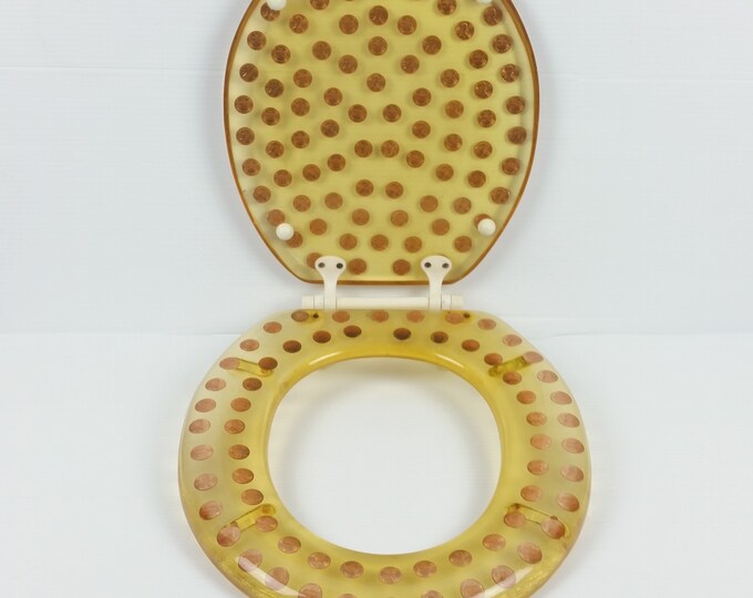 1977 Lucite Coins Money Toilet Seat and Lid Coins Pennies Money Clear