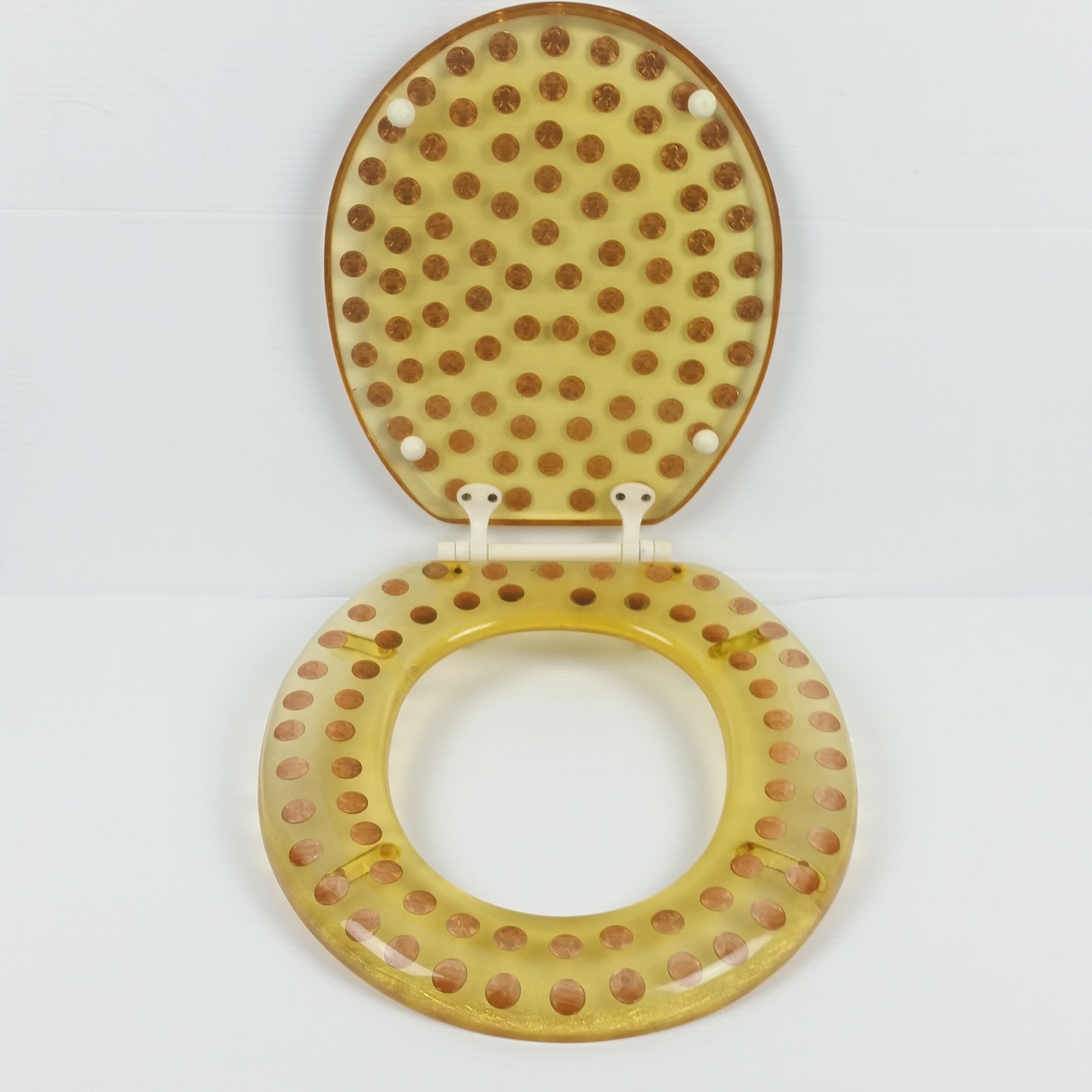 1977 Lucite Coins Money Toilet Seat and Lid Coins Pennies Etsy