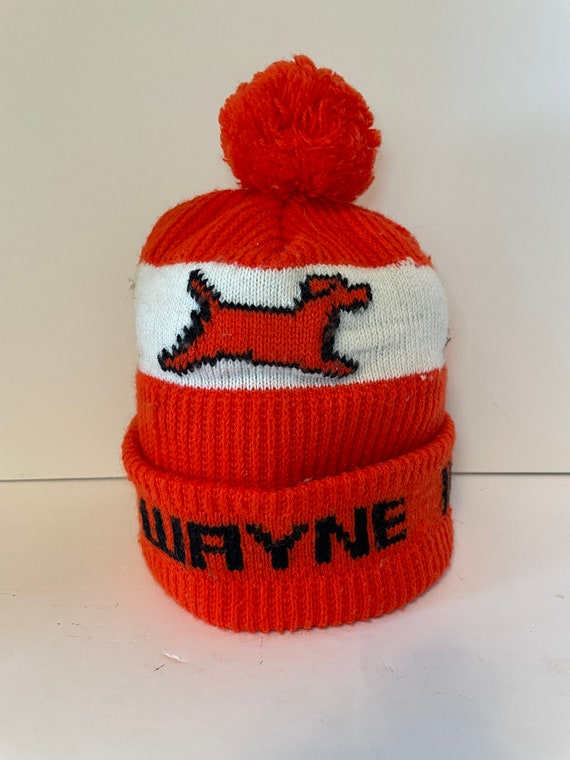 Wayne stocking hat - image 1