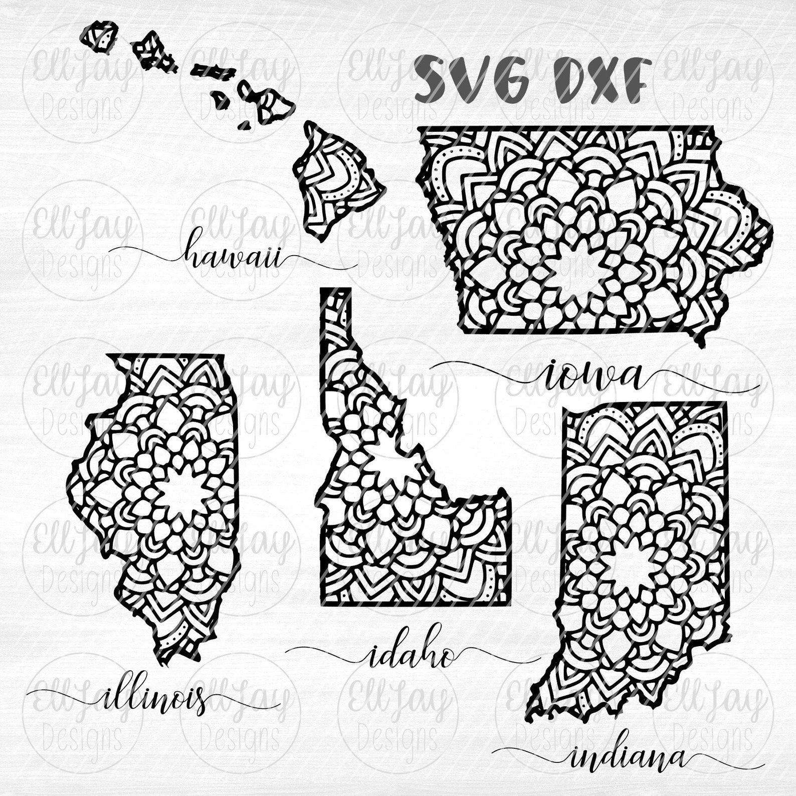 50 States SVG Mandala States Svg Svg Bundle 50 Designs - Etsy
