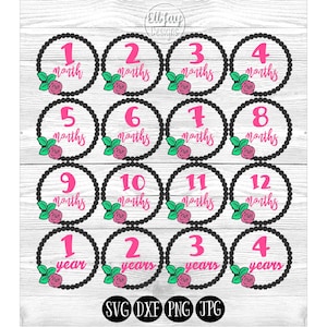 Geburt Monat Svg, Baby Monat Meilensteine, Baby Mädchen Svg, Mädchen Svg, Baby-Monats-Karten, Meilenstein-Aufkleber, Baby Monat Svg, monatliche Baby Svg, svg