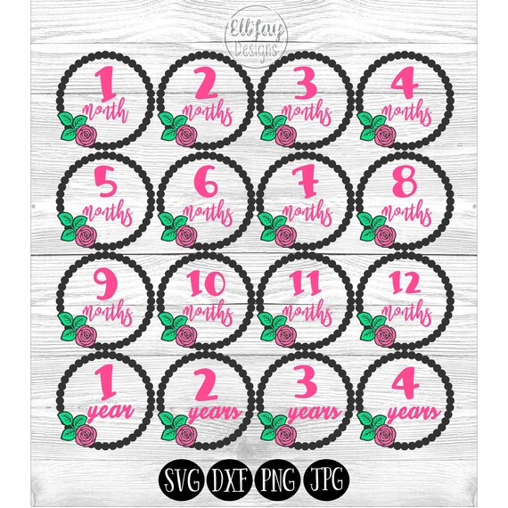 Download Birth Month Svg Baby Month Milestones Baby Girl Svg Girl Etsy