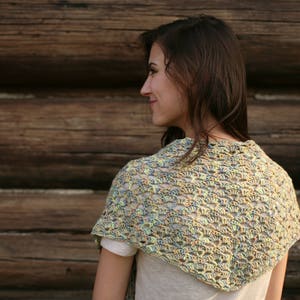 Teesdale Shawl Crochet Pattern by Rebecca Velasquez RV Designs, Narrow Triangle Lace image 2