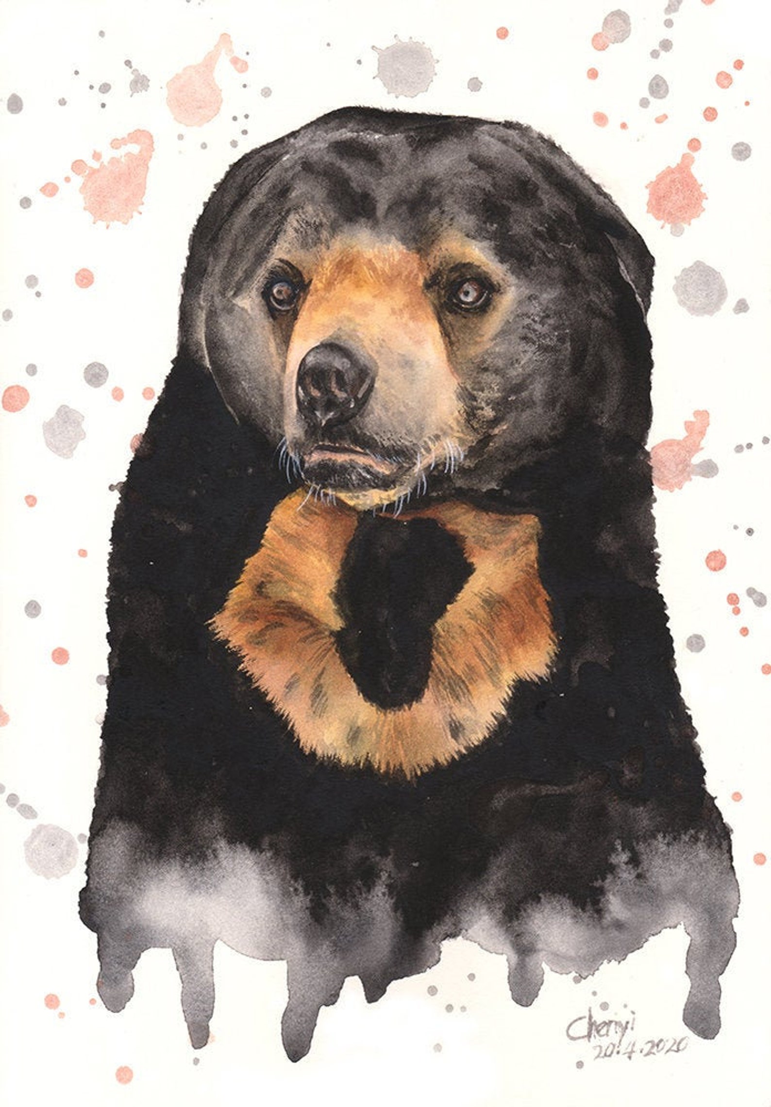 Sun Bear . Watercolor . Art Print . Decor . A4 . A3 Etsy