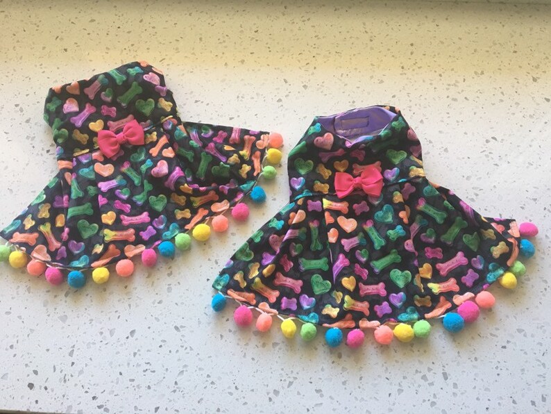 Limited Edition in size XS Rainbow Love Dog Dress