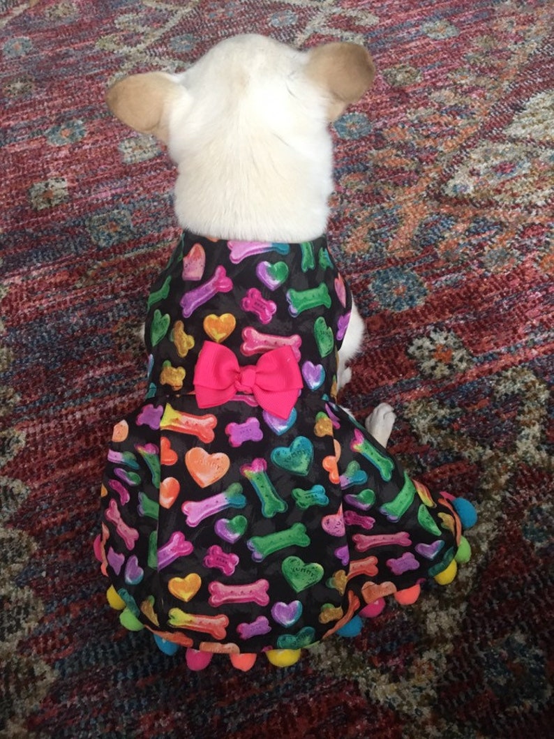 Limited Edition in size XS Rainbow Love Dog Dress