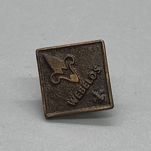 Vintage Webelo Lapels Pin