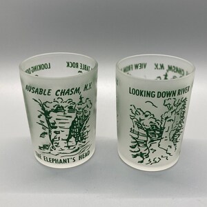Pair of Vintage MCM Hazel Atlas Ausable Chasm Elephants Ear NY Juice or Shot Glasses