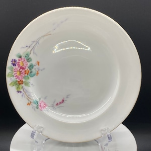 Set of 12 Hutschenreuther Selb LHS Bavaria Hand Painted Dessert Plates
