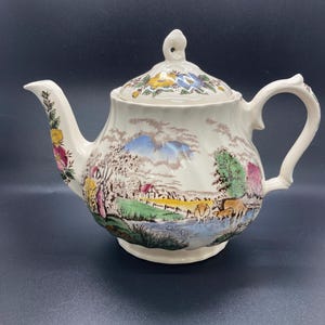 Vintage Sadler Country Life Teapot