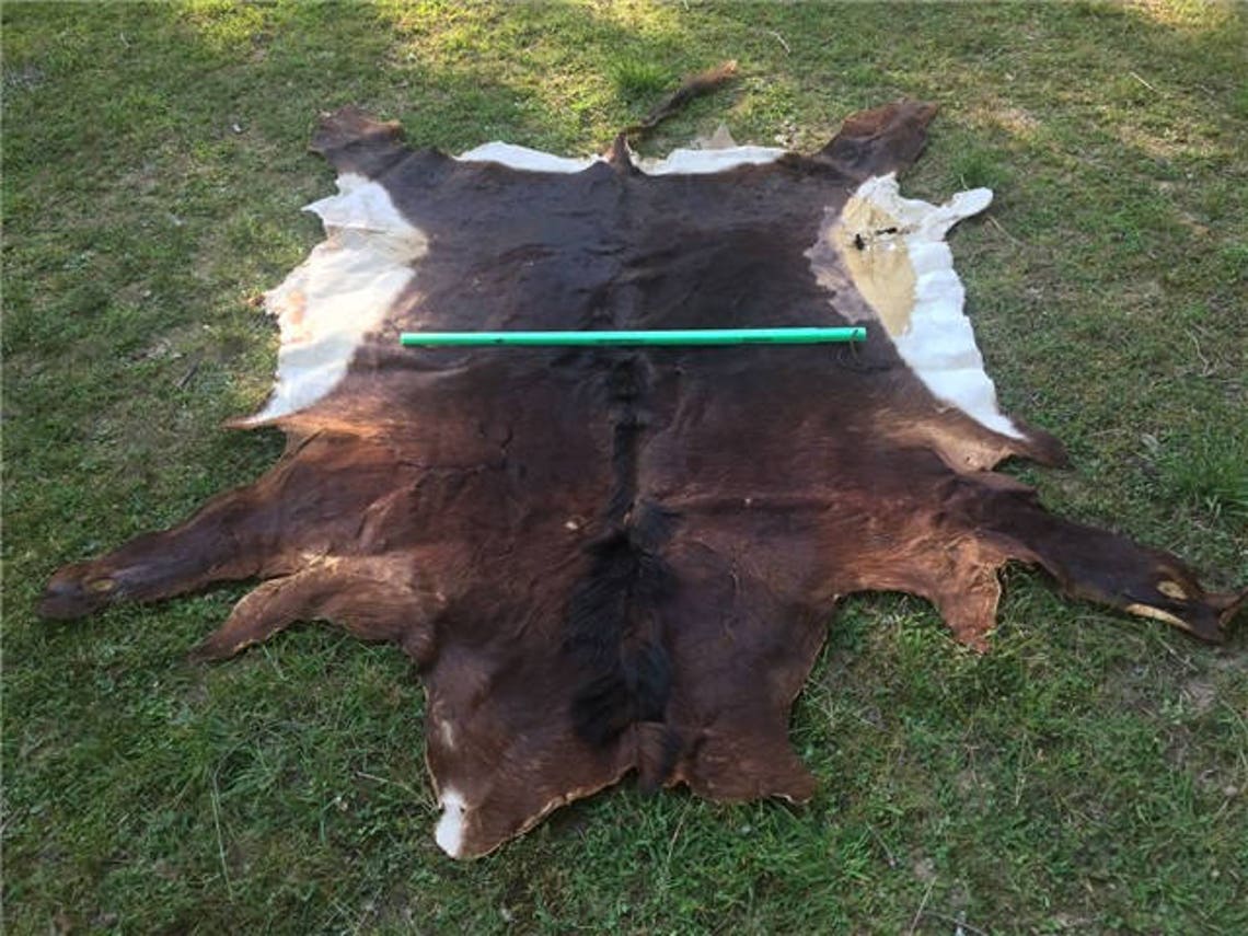 African Sable Antelope Hide/skin/rug/africa Safari Hunting Etsy