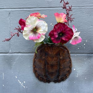 May include: A unique wall-mounted vase crafted from a turtle shell, filled with colorful artificial flowers. The arrangement includes white, pink, and burgundy blooms, accented by delicate pink sprigs. The shell vase is a rich brown color.