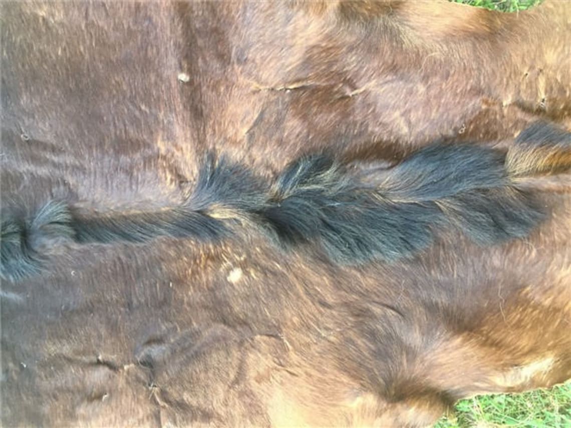 African Sable Antelope Hide/skin/rug/africa Safari Hunting Etsy