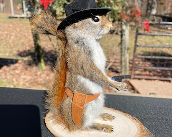 Taxidermy Beautiful New COWBOY, or Sheriff Pine Squirrel mount # 1  = Log Cabin Hunting Decor   =  Tamiasciurus hudsonicus- Norway/Haaland