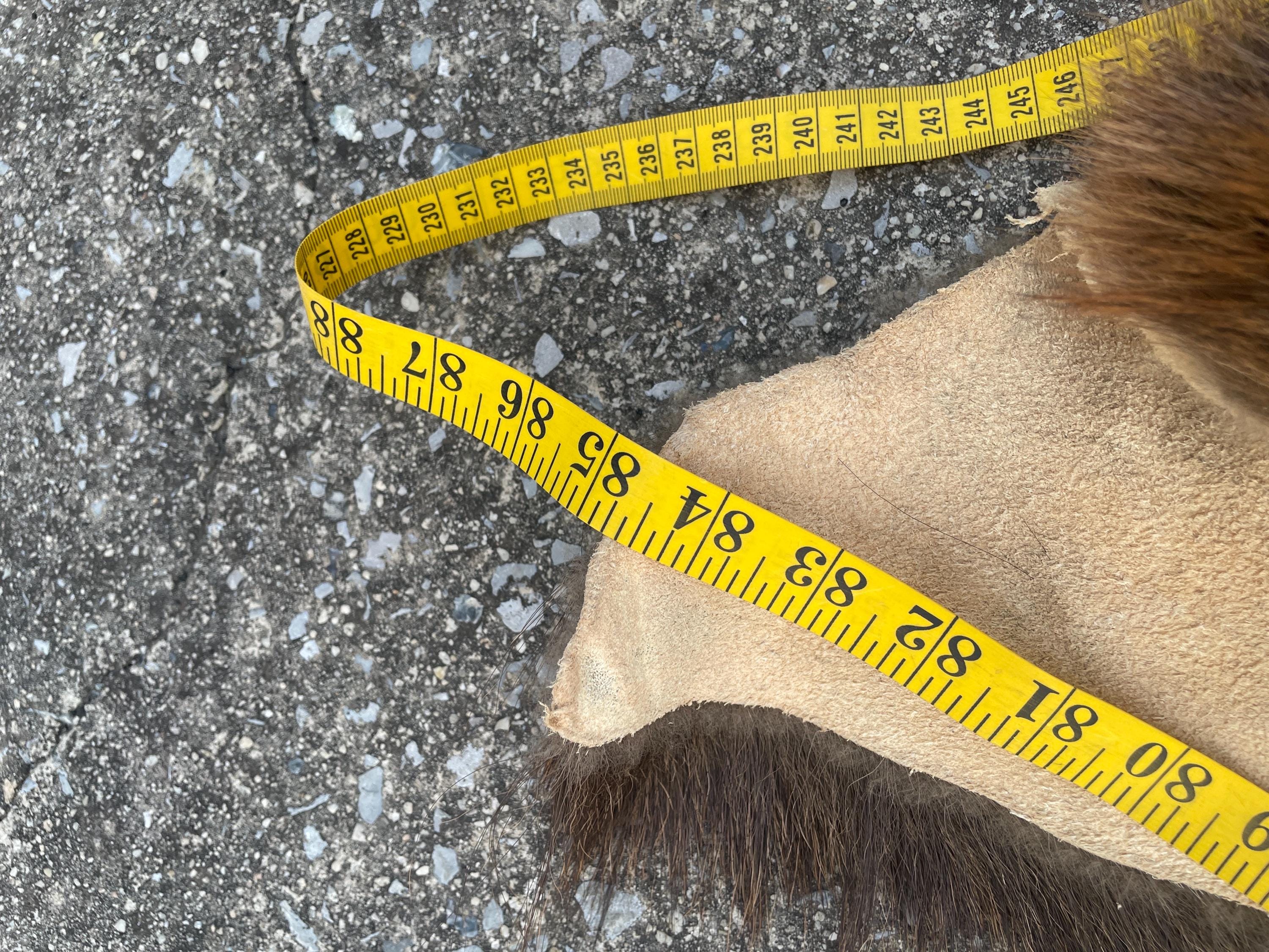 Huge, Very Nice Dry Tanned ELK Full Hide /skin/robe /no Antlers ...