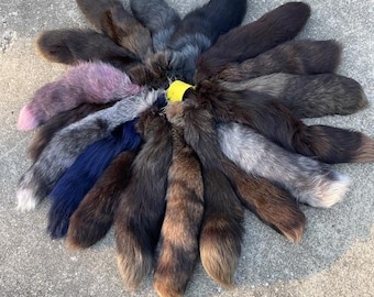 One ( 1 ) Beautiful, LARGE, Hybrid, Ranch RED FOX Tails, with key chain, different colors = (Vulpes vulpes)