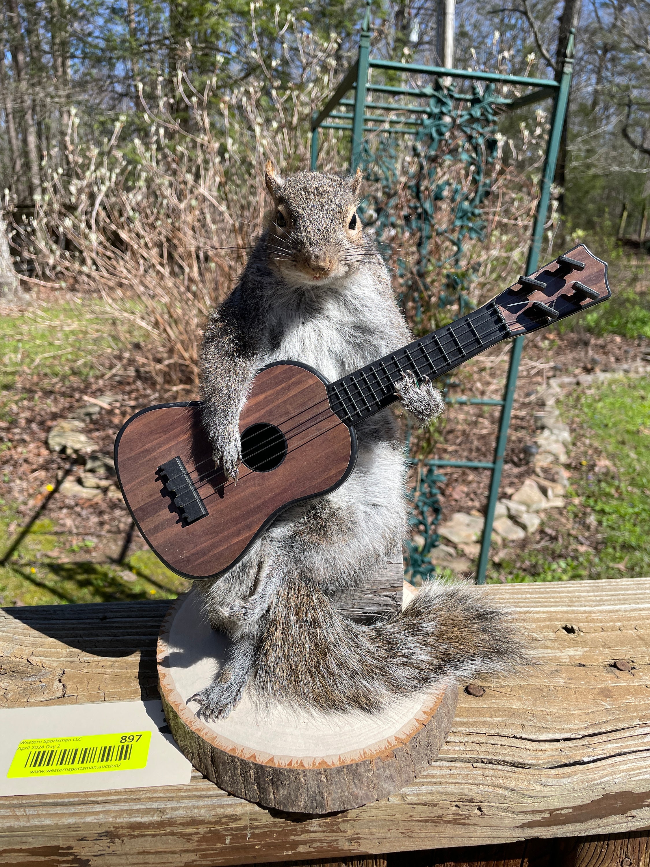 モグ・タカハシ「SQUIRREL」 #Fine Little Day MOGU TAKAHASHI-JOINT POSTER SQUIRREL POSTER - ショップ