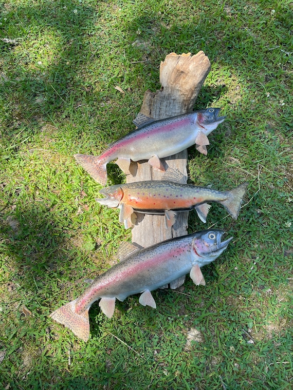 USA製 rainbow trout 両面プリント ロンT XL モックネック USA製