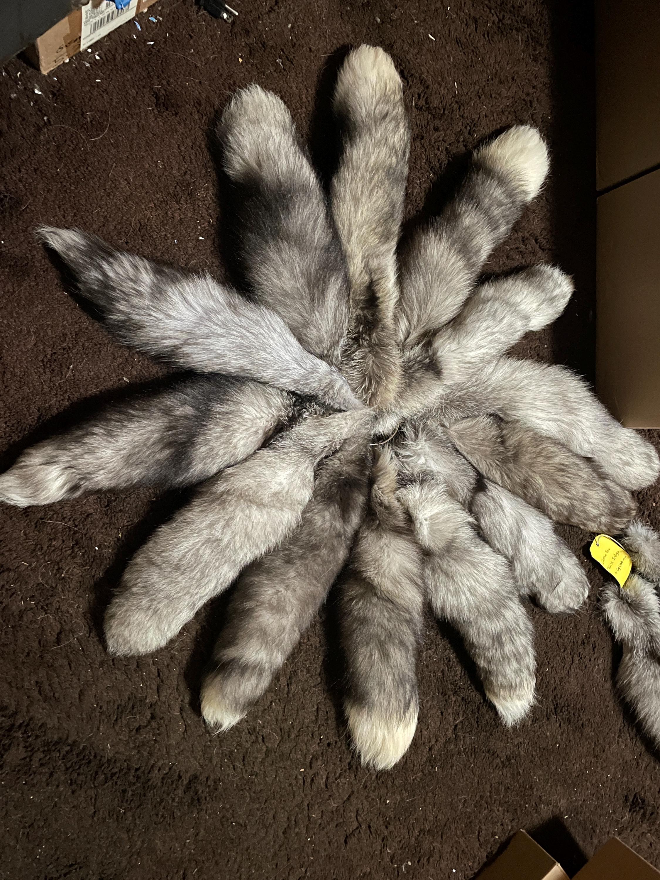 One ( 1 ) Beautiful, LARGE, Hybrid, Ranch RED FOX Tails, With Key