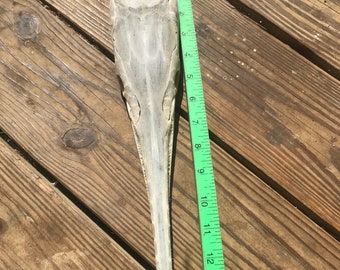 il_340x270.1929620476_nssl.jpg