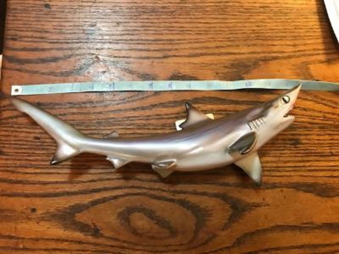 REPRO awesome Little SAND Tiger SHARK Taxidermy Mount Cabin - Etsy