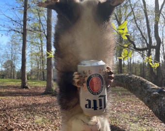 Nice NEW North American, Beer Drinking O'Possum - Possum -Lifesize Mount  Taxidermy Log Cabin Hunting Lodge Decor  =  (Didelphis virginiana)