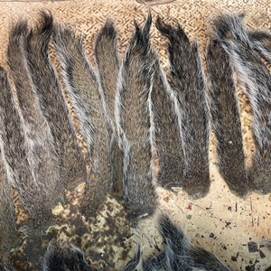 May include: A collection of gray and brown animal tails with a striped pattern. The tails are arranged on a light-colored surface, showcasing their natural textures and colors. The tails are likely for crafting or decorative purposes.