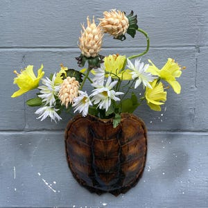 May include: A unique wall-mounted flower vase made from a turtle shell, filled with a vibrant arrangement of yellow, white, and beige flowers. The shell is a rich brown color, mounted on a gray painted brick wall.