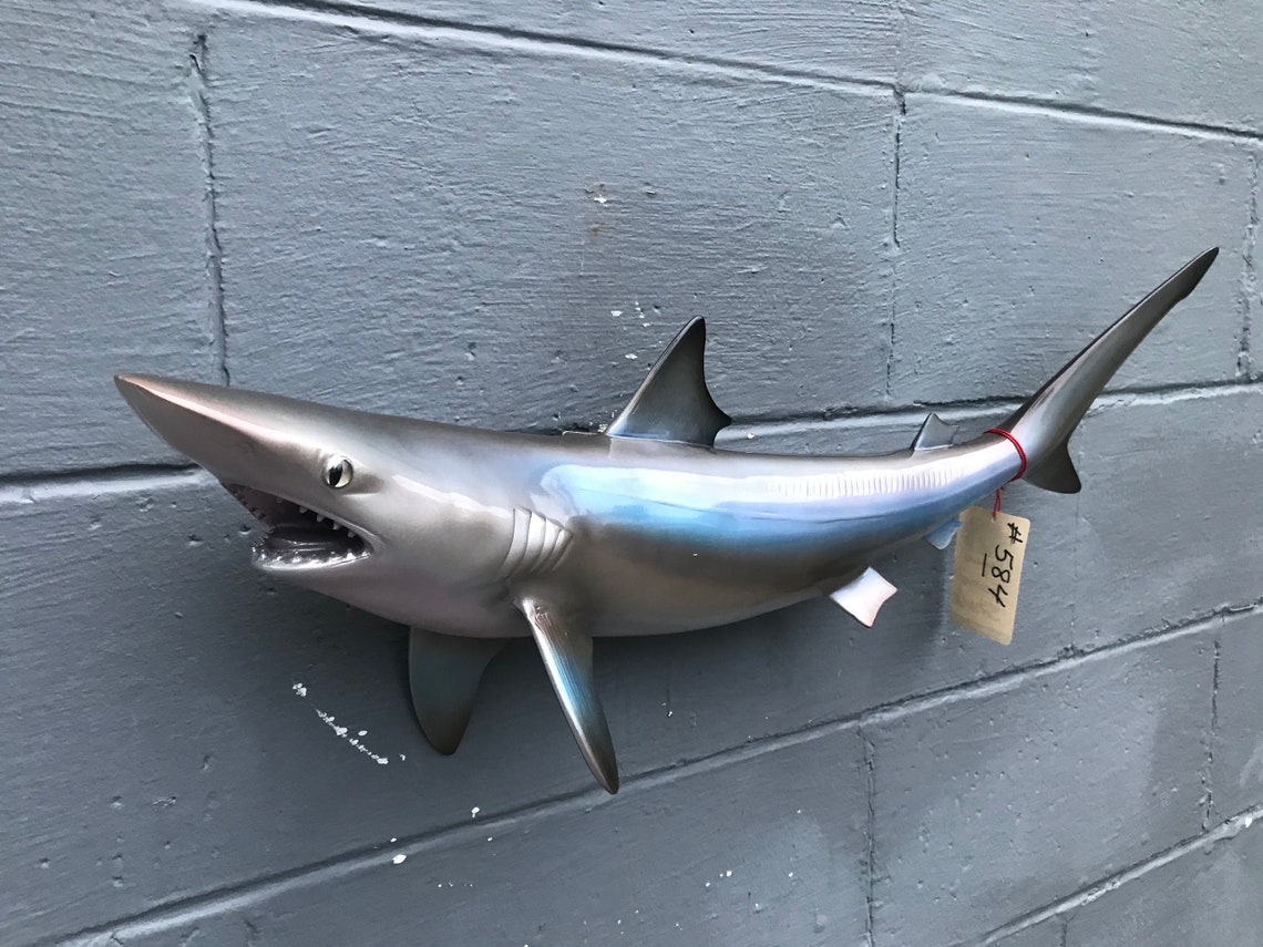 REPRO Awesome SAND Tiger SHARK Taxidermy Mount Cabin Fishin | Etsy