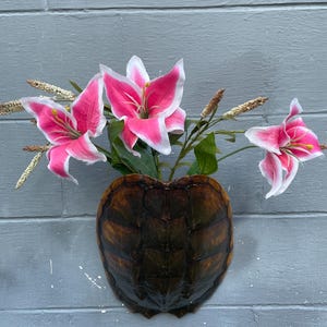 May include: A decorative wall-mounted turtle shell vase filled with vibrant pink and white lilies. The vase has a dark brown, textured surface, and the flowers have green leaves and yellow stamens.