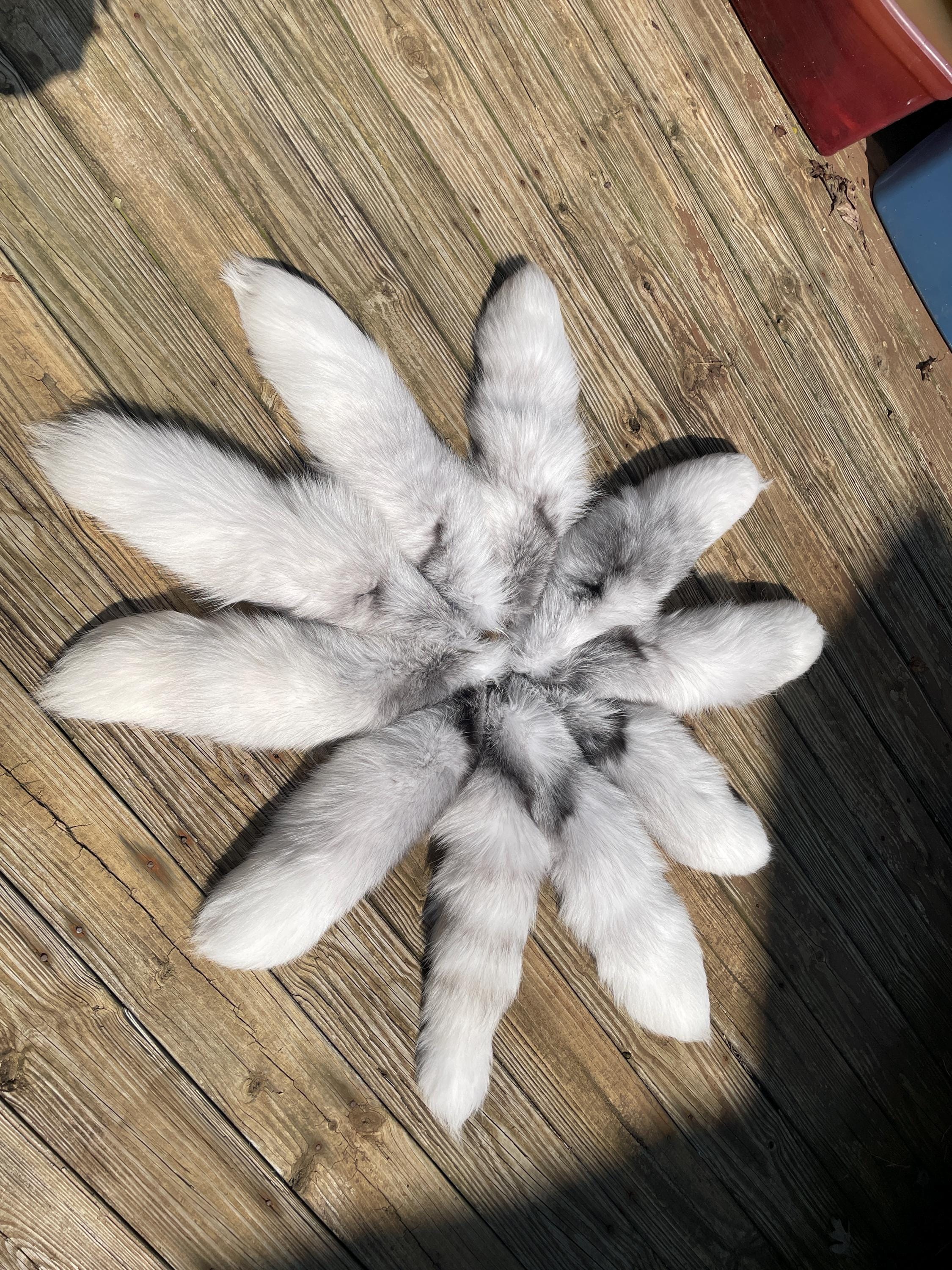 One ( 1 ) Beautiful, LARGE, Hybrid, Crystal Mutation Ranch FOX
