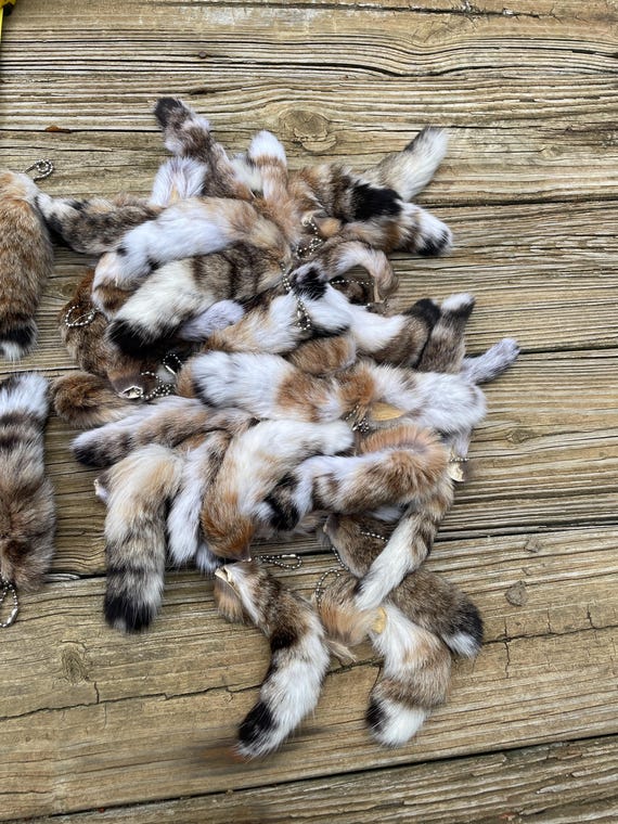 One { 1 } Large Tanned BOBCAT TAIL, With Key Chain Log Cabin