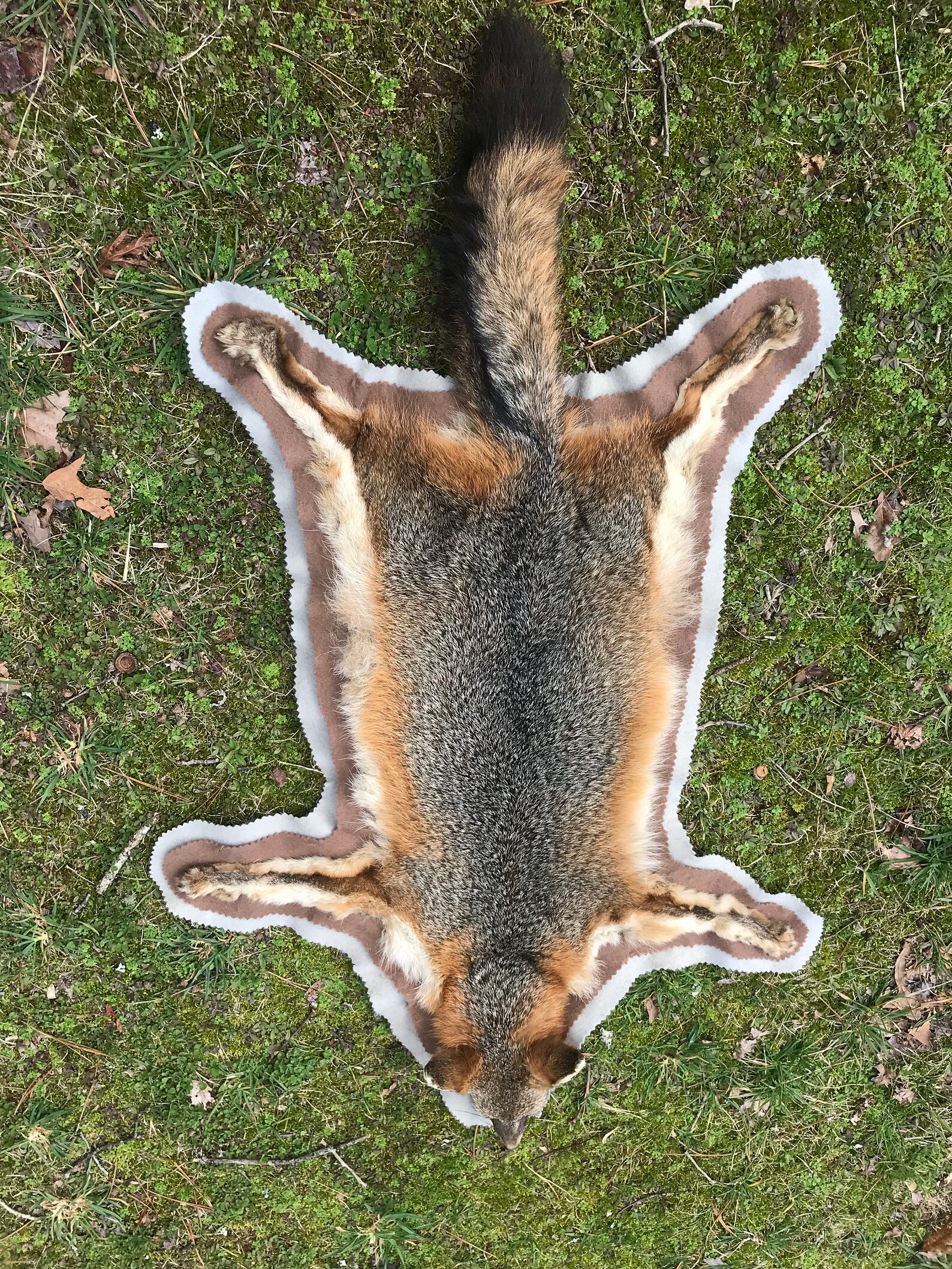 Beautiful Tanned XLg. GREY FOX RUG Fur/Skin/Hide/Hunting Etsy