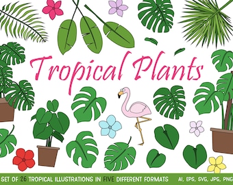 Tropical Clipart Set, Clip Art Illustrations - Commercial use JPG, PNG and Vector download